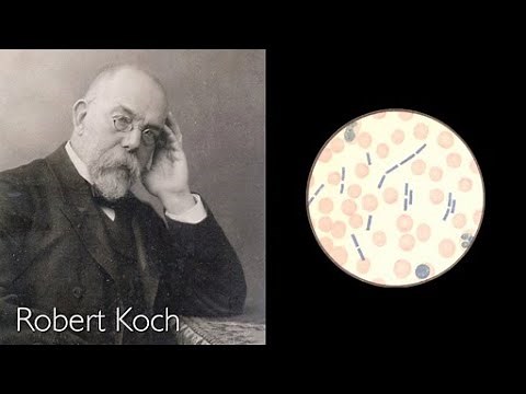 Infectious Diseases - School Biology Film