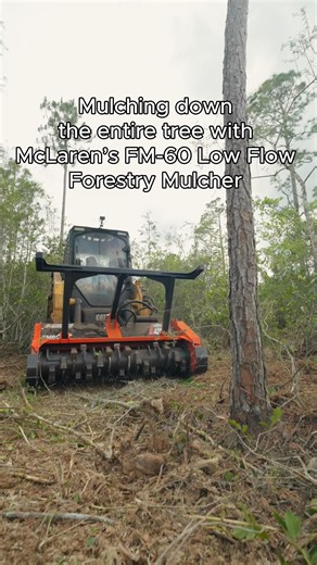 McLaren's FM-60 Forestry Mulcher take down and mulch an entire tree