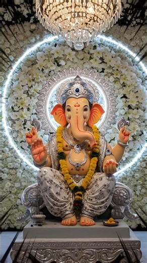 🪷🐁🎋#flyxo #flyxo 🐘☺️🎋