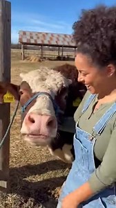 Just a friendly bull enjoying girl time at the farm! #cowfarm #fblifestyle #cows #bull | Anyana Nature