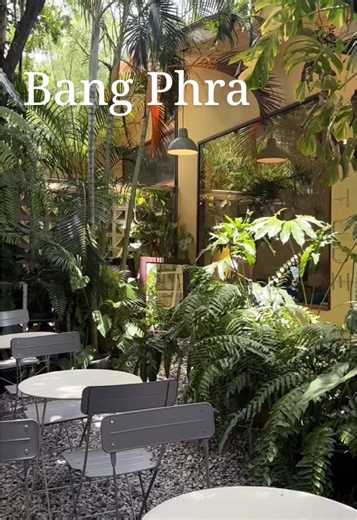 【Altitude Café -อัลติจูด คาเฟ่-】 Came for the coffee, stayed for the jungle 🍃 #cafevibes #srirachacafe #คาเฟ่ #สายคาเฟ่ #カフェ活 #タイ