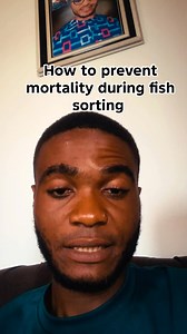 6.4K views · 110 reactions | How to prevent mortality when sorting your fish #fypシ #viralvideochallenge #viralvideoシ #viralpost2025シ #viralreelsfacebook #agriculture | Veejosh Integrated Farms Limited | Facebook