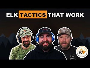 Elk Hunting Tactics: Insights from Experts