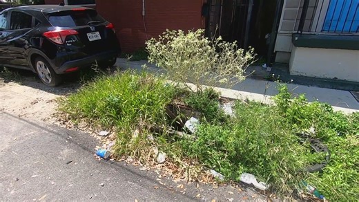 5,055 catch basins of 72,000 cleaned so far this year. Latest update here