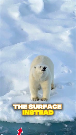 Why Does Ice Float Even Though It’s Solid? #facts #shorts