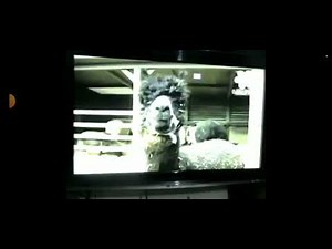 babyfirst safari scrapbook llama