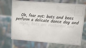 Do Bats Eat Bees?