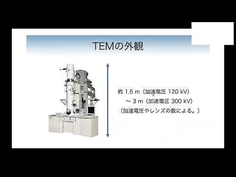 TEM入門――結像の仕組みとコントラスト――