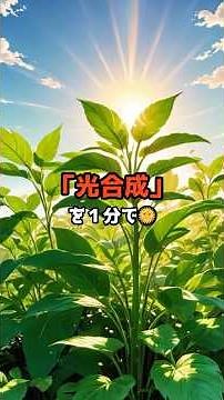 光合成を１分で理解！植物が作るエネルギーの秘密