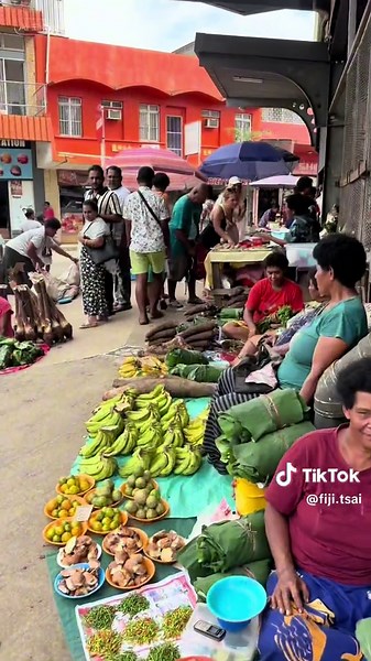 Exploring Fiji: Travel and Investment Insights