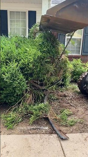 Ultimate Landscaping Renovation Guide: Everything You Need to Know