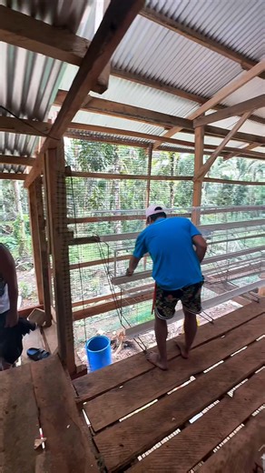 57K views · 734 reactions | SUB-SAHARAN MINDANAO AFRICA FOOD BASKET OF THE PHILIPPINES #layerfarming #poultryfarming #eggbusiness Mindanao RTL Chicken Package For inquiries please call or text ☎️ 09755196890 /09763208956 We’re happy to be your partner’s. | Mindanao RTL Chicken Package | Facebook