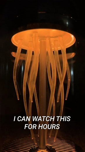 Jellyfish Lamp Speaker?? Who needs this? The tech unboxing you didnt think you needed! | FastTech