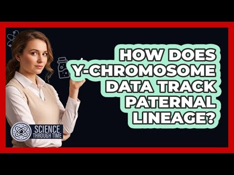 How Does Y-Chromosome Data Track Paternal Lineage?