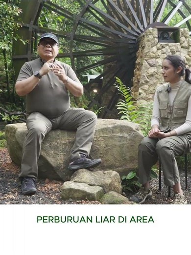 MENGUSAHAKAN UNTUK TERBIT PERATURAN LARANGAN BERBURU #burung #burungkicaudialamliar #alam#aviary