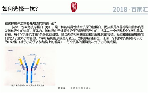 第二节：明明白白选择WB抗体