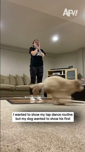 I wanted to show my tap dance routine but my dog wanted to show his first