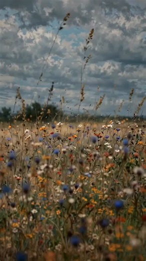 🎥 @migueldesanchos via @ad_magazine | AD Architectural Digest Germany