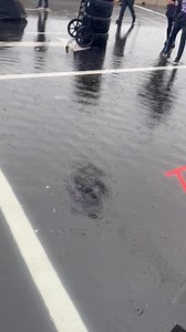 7K views · 569 reactions | Currently… | Daniel Suárez | Facebook