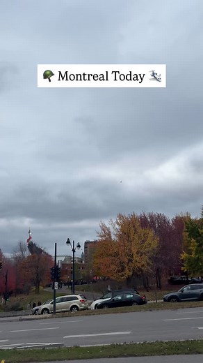 Follow (us) @MontrealDailyTV for EVERYTHING about Montreal 📍🍿 Did you see it?!? 📲 DM us photos & videos of things happening in Montreal to be featured on our page! #mtl #mtlmemes #montréal #quebec #MontrealDailyTV | Montreal Daily TV