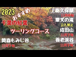 2023/10/22千葉県紅葉状況 【千葉県絶景！おすすめ紅葉ツーリングコース】