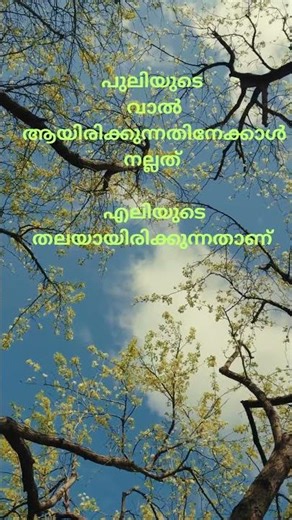 PSC Quiz Challenge | Malayalam GK MCQ | PSC Shorts #psc #shorts #gkquiz #pscquiz #gk #science