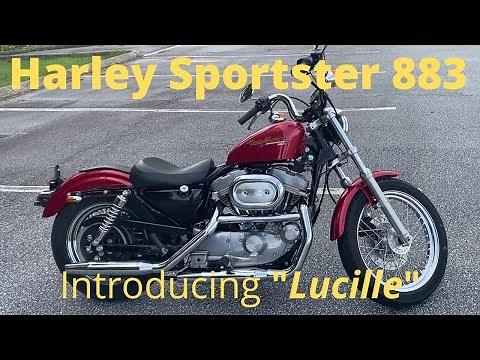 Harley Davidson Sportster 883 Hugger walk-around Introducing "Lucille"
