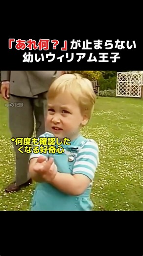 チャールズが答えるまで「あれ何？」を聞き続けるウィリアム王子🥺💙 #ウィリアム王子 #英国王室