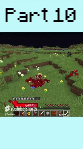 Minecraft One Million Hearts Part Ten Finale