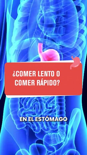 67K views · 52K reactions | ¿Hormona CCK y el hambre? Una técnica...