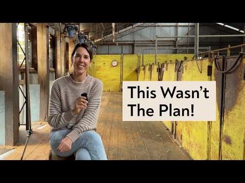 Lambing, Farm Life + The Question Everyone Keeps Asking Me