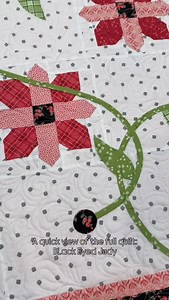 Here’s a view of the whole quilt. “Black Eyed Judy.” Patterns and kits available on my website. #jillilystudio #quiltsofinstagram #applique #quilting | Jillily Studio