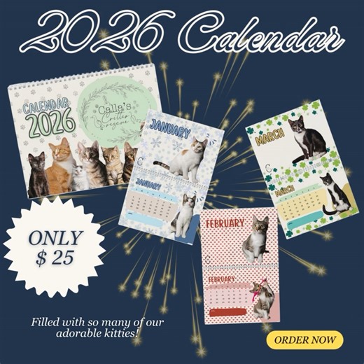 🗓️ The cutest way to start 2026? With kitties on your walls, of course. 😻 We’re so excited to share our 2026 Rescue Kitty Calendar—a year full of sweet faces featuring both happily adopted alumni AND kitties still waiting for their forever homes. Every month is packed with whiskers, toe beans, and a whole lot of heart. ✨ Why you’ll love it: • Adorable & practical (cute and useful!) • The perfect way to welcome the new year • A beautiful way to support our rescue cats 💖 Cost: $25 💖 100% of pr