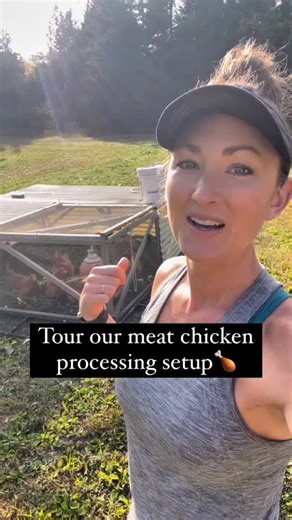 17K views · 10K reactions | You guys asked to see our meat chicken...
