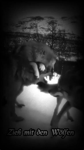 #zitatezumnachdenken #lebensweisheiten #zietateundsprüche #zitate #wahreworte