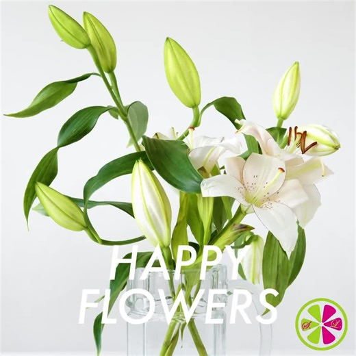 Handcrafted Embossed Floral Leather Wallet: Small Women's Wallet - Etsy