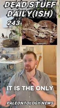 🚨PERMIAN TIMESTAMP🚨 #paleontology #permian #fossils