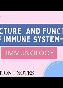 Structure and function of immune system-2|Immunology-11|with easy explanation and handwritten notes.