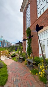 8.3K views · 212 reactions | This week’s #WalkingWednesday takes us...