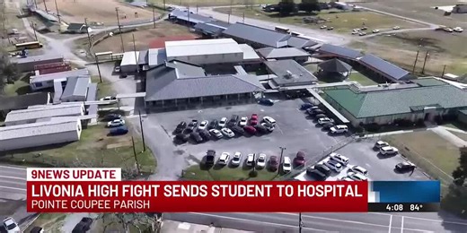 Livonia High fight sends student to hospital