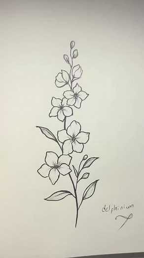 Easy Delphinium Drawing Tutorial for Beginners