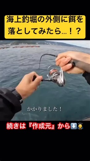カセさぐり on Instagram: "海上釣堀の外側に餌を落としたら…！？ | Dropped Bait Outside the Fish Farm…!? #釣り #筏釣り #fishing #かぶせ釣り #カセ釣り"