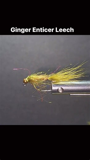 3.3K views · 46 reactions | Brent Schlenker ties his Ginger Enticer Jig Leech. Another fantastic leech pattern to hang in the weeds.Watch the FULL version on our YouTube Channel here https://youtu.be/LsGpOOBErN4 or our website at www.sfotf.ca ....First Tellurium Corp Maui Jim TW Outdoors Scientific Anglers Humminbird Authentic T-Shirt Company Hardy Fly Fishing | Sport Fishing on the Fly - SFOTF | Facebook