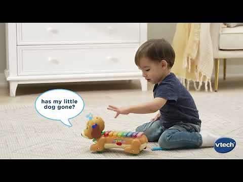 Zoo Jamz Doggy Xylophone | Demo Video | VTech®