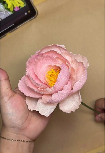 Papercuts by Ricci on TikTok