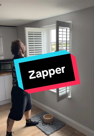 Effective Insect Zapper for Summer Fly Control