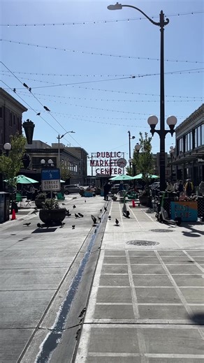 Springtime Vibes in Seattle: Exploring PNW Beauty