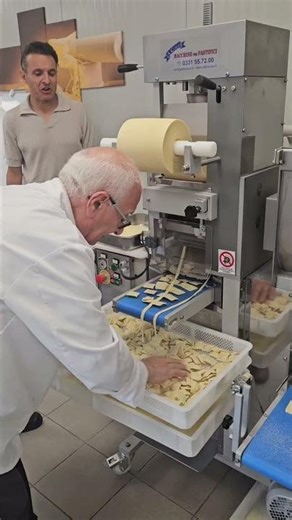 Professional Fresh Pasta Machine CA 160 Aldo Cozzi - Ravioli, Sheet Pasta and Long Laminated Pasta
