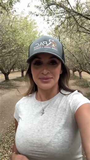 Alyssa shows drip irrigating amidst almond harvest to minimize stress to the trees. #almonds