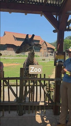 📍Turtle Back Zoo #zoo #zologico#animals